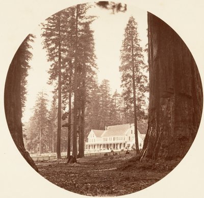 W. C. Bryant - Calaveras Grove, ca. 1878. av Carleton Emmons Watkins