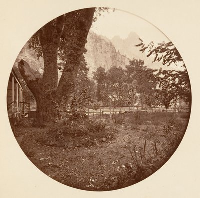 [Yosemite National Park, Kalifornien], ca. 1878. av Carleton Emmons Watkins