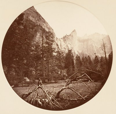 [Yosemite National Park, Kalifornien], ca. 1878. av Carleton Emmons Watkins