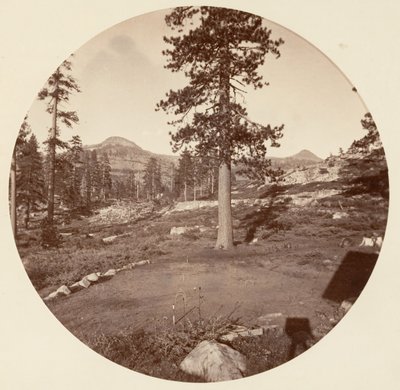 [Yosemite National Park, Kalifornien], ca. 1878. av Carleton Emmons Watkins