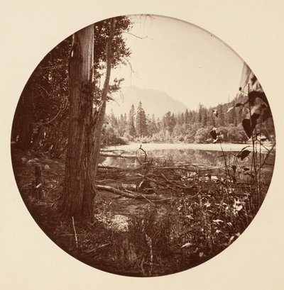 [Yosemite National Park, Kalifornien], ca. 1878. av Carleton Emmons Watkins