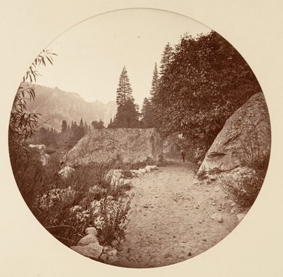 [Yosemite National Park, Kalifornien], ca. 1878. av Carleton Emmons Watkins