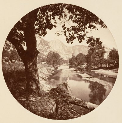 [Yosemite National Park, Kalifornien], ca. 1878. av Carleton Emmons Watkins