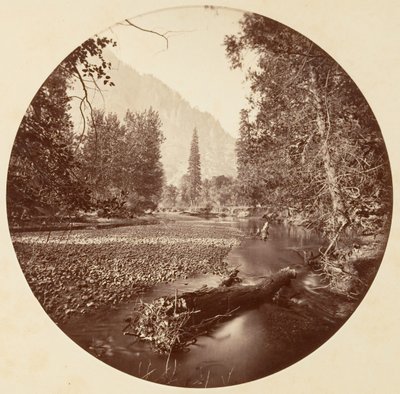 [Yosemite National Park, Kalifornien], ca. 1878. av Carleton Emmons Watkins