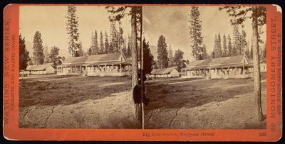 Big Tree Station, Mariposa Grove av Carleton Watkins