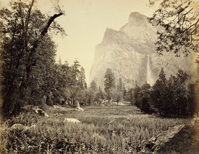 Brudslöja, 900 fot av Carleton Watkins