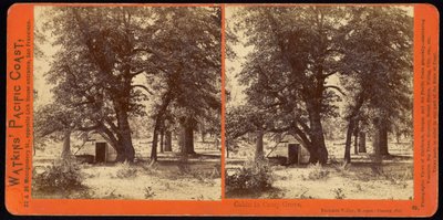 Stuga i Camp Grove, Yosemite Valley, Mariposa County, Ca av Carleton Watkins