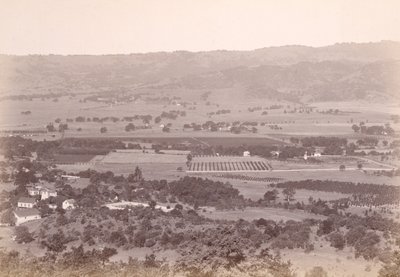 [Calistoga, Kalifornien?] av Carleton Watkins
