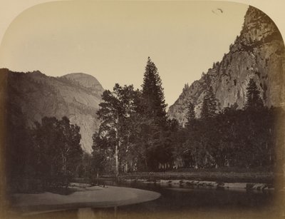 Camp Grove - Yo Semite av Carleton Watkins