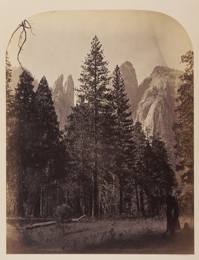 Katedralspiror - Yosemite av Carleton Watkins