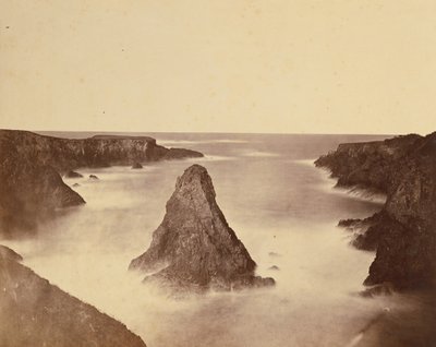 [Kustvy nr 1] / [Kustvy, Mendocino] av Carleton Watkins