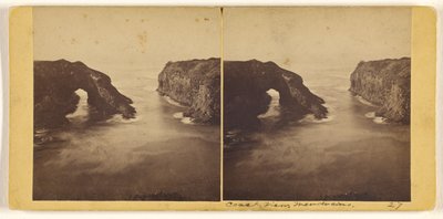 Kustvy, Mendocino av Carleton Watkins