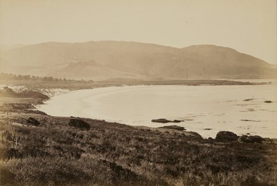 [Kustvy, Monterey] av Carleton Watkins