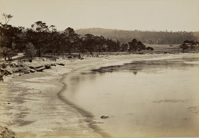 [Kustvy nära Monterey] av Carleton Watkins