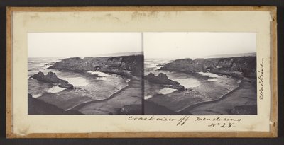 Utsikt över kusten vid Mendocino av Carleton Watkins