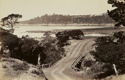 [Kustvy nära Monterey] av Carleton Watkins