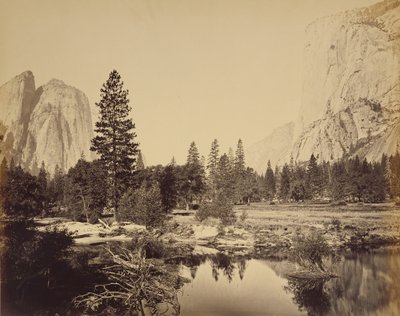 [Ned genom dalen] av Carleton Watkins
