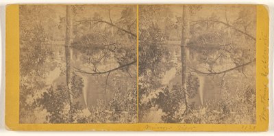 [Spegelbild, Yosemite Valley, Mariposa County, Kalifornien] av Carleton Watkins