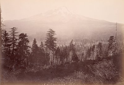Mount Shasta av Carleton Watkins