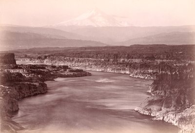 [Mount Hood från The Dalles, Oregon] av Carleton Watkins