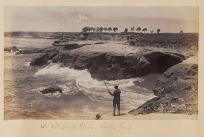 På Cliff Drive, Santa Cruz av Carleton Watkins