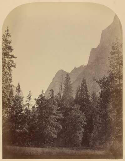 Konturvy av Half Dome - 4967 fot, Yo Semite av Carleton Watkins