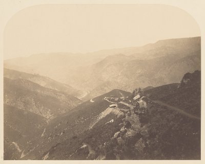 [Pine Tree Mine] av Carleton Watkins