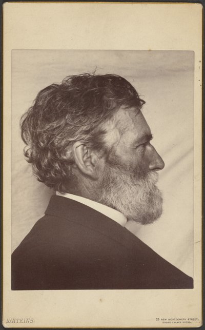 Porträtt av George Davidson av Carleton Watkins