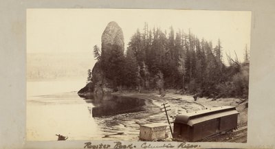 Rooster Rock, Columbiafloden av Carleton Watkins