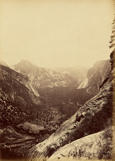 [Kupolerna från foten av Upper Yosemite] av Carleton Watkins