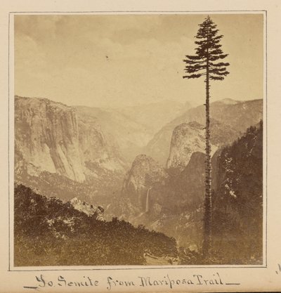 Yosemitedalen från ”Best General View”, Mariposa Trail av Carleton Watkins