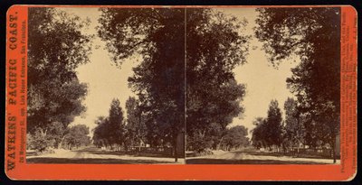 Trädkantad gatuvy över San Gabriel, Kalifornien av Carleton Watkins