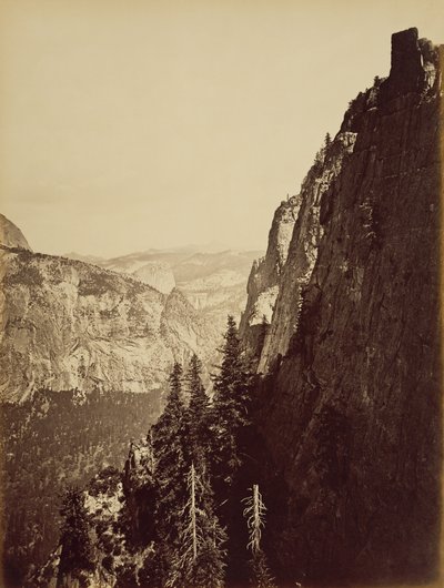 Utsikt från Moran Point av Carleton Watkins