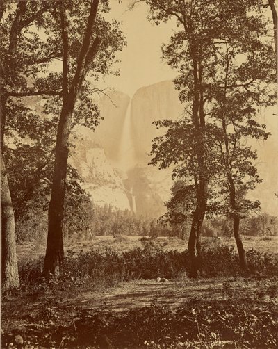[Yosemitefallen sedda underifrån] av Carleton Watkins