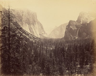 [Yosemitedalen från Mariposaleden] av Carleton Watkins