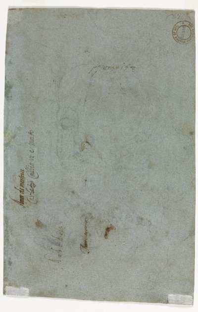 Skiss av ett barns huvud (verso) av Carletto Caliari