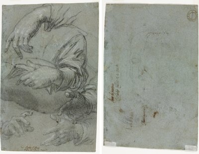 Studies of Hands (recto); Skiss av ett barns huvud (verso) av Carletto Caliari