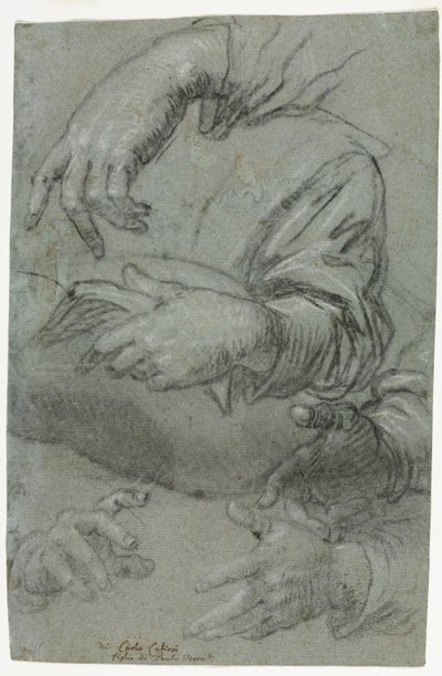 Studies of Hands recto, c. 1586. av Carletto Caliari