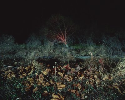 Målning i mörkret, 2011 av Carli Choi
