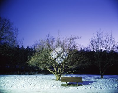 Målning i mörkret, 2012 av Carli Choi