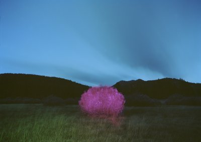 Målning i mörkret, 2015 av Carli Choi