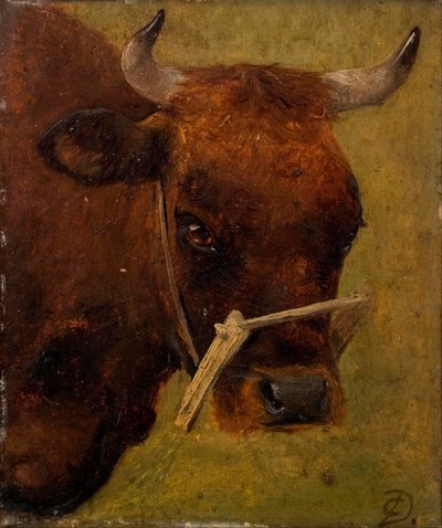 Huvud av en ko. Studie. av Carlo Dalgas