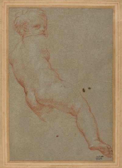 Studie av en ung pojke av Carlo Maratta