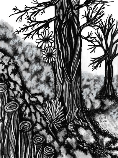 Digital kolritning 1 av Carol Sousa Cuello