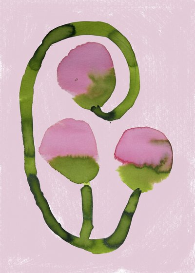 Abstrakta rosa blommor av Carola Cedell