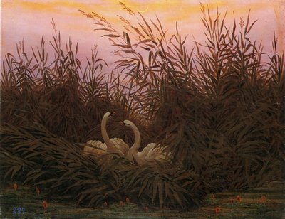 Tyska: Schwäne im Schilf beim ersten Morgenrot Svanar i vassen vid den första gryningen av Caspar David Friedrich