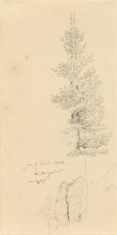 Tyska: Studie mit Fichten und Felsen Studie av granar och en sten av Caspar David Friedrich
