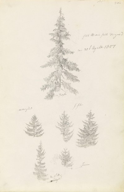 Sex studier av granar och granar av Caspar David Friedrich