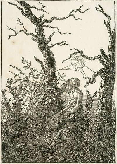 Kvinna med spindelväv mellan kala träd av Caspar David Friedrich