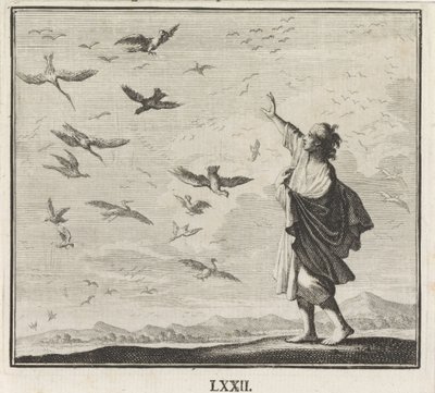 Emblem: fåglar av Caspar Luyken